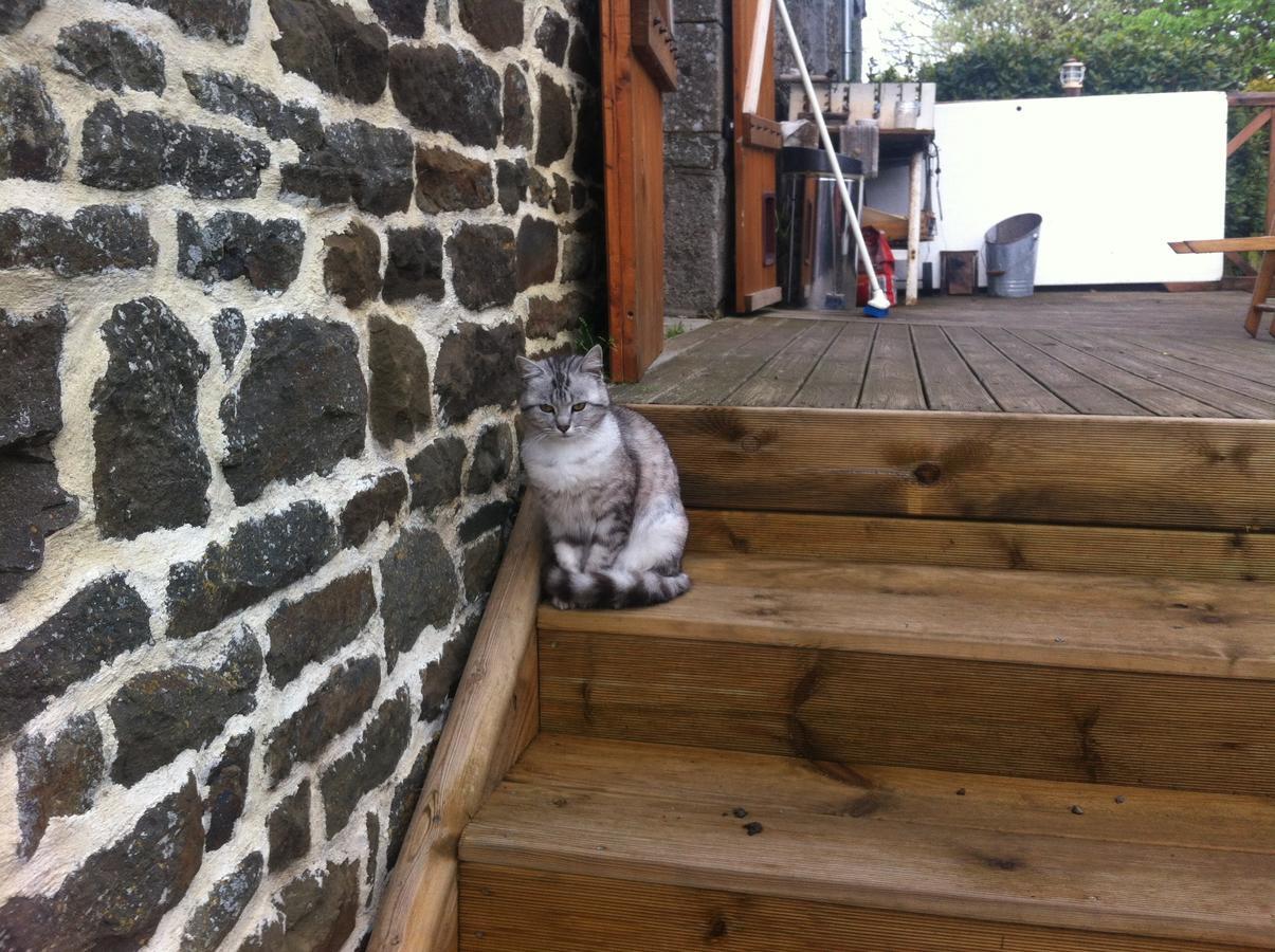 Bed and Breakfast La Ferme De Montaigu Exterior foto